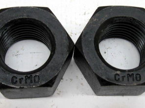 永年高强度螺母 聚焦恒鑫制造，把握招商机遇与市场脉搏